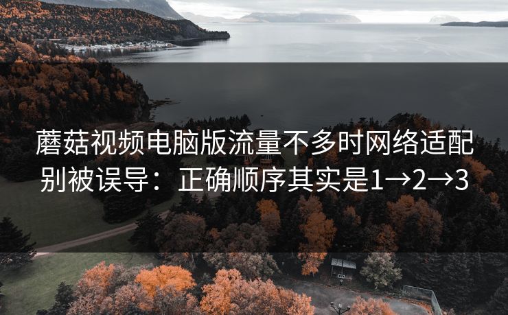 蘑菇视频电脑版流量不多时网络适配别被误导：正确顺序其实是1→2→3