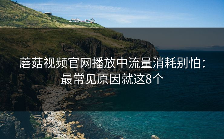 蘑菇视频官网播放中流量消耗别怕：最常见原因就这8个